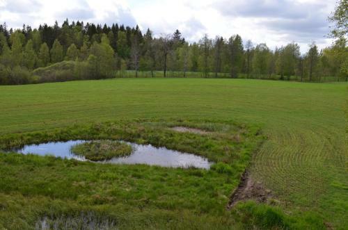 Agroturismo Pensionat S�gknorren