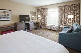 Hotel Hampton Inn Minneapolis/roseville, Mn