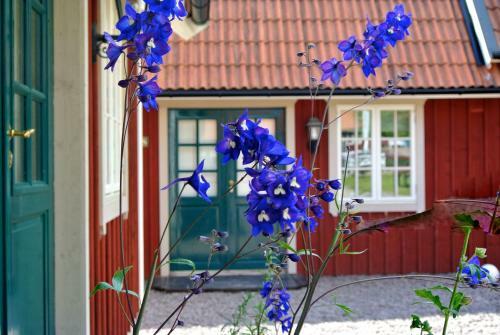 Oxg�rden