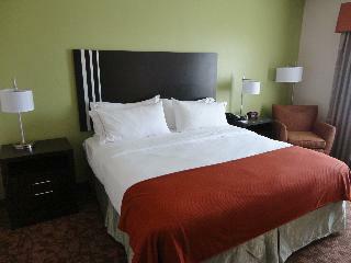 Hotel Holiday Inn Express Kenedy