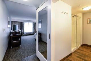 Hotel Hampton Inn Brighton Mi