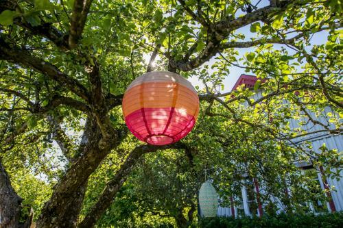 B&B Olseg�rden