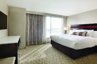 Hotel Holiday Inn Chicago - Schaumburg