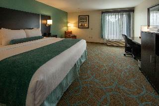 Hotel Best Western Plus Duluth/sugarloaf