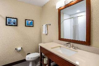 Hotel Comfort Inn Suites Isu