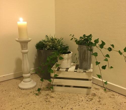 Albergue Ninas I Kolm�rden