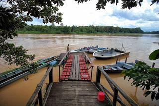 Nature Lodge Kinabatangan, Sandakan