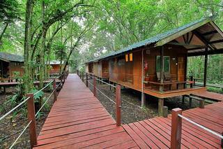 Nature Lodge Kinabatangan, Sandakan