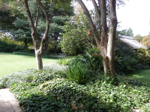 Bed & Breakfast Pin Oaks Bnb