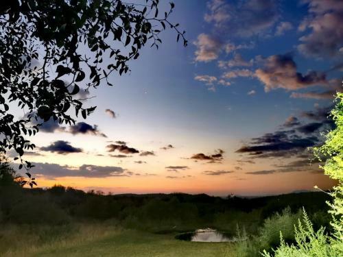 Motswiri Private Safari Lodge