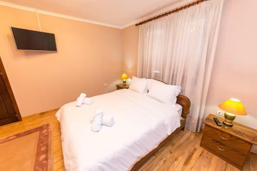 Hostal Bujtina Vila 10