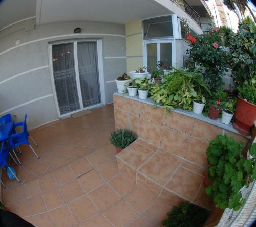 Eduart Apartments