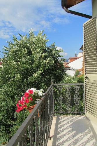 Hostal Guest House Zadeja