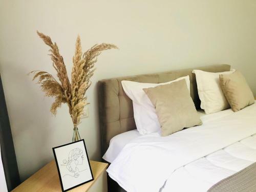 Opera Apartments - Choose Balkans