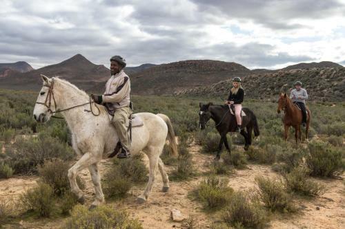 Hotel Aquila Private Game Reserve