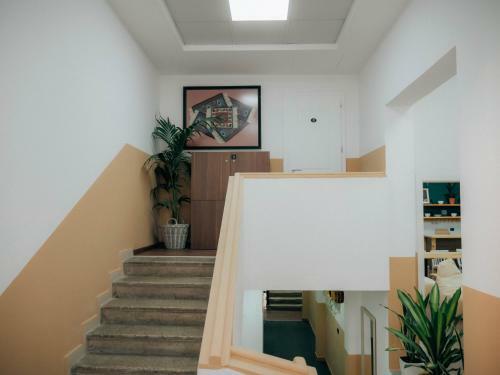 The Maze Hostel