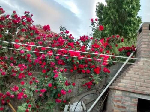 Apartamento Amien Patagonia