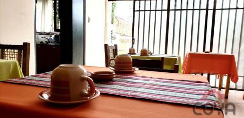 Coya Hostel