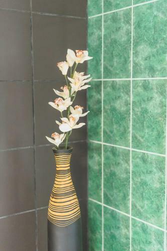 Hostal Coral Tree Inn