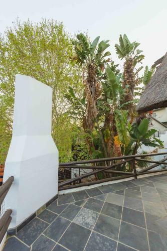 Hostal Coral Tree Inn