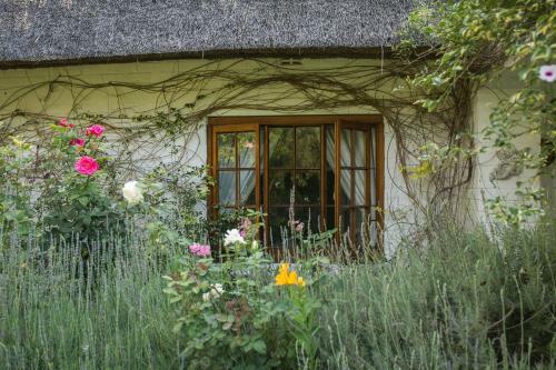 Bed & Breakfast Grace Guest House