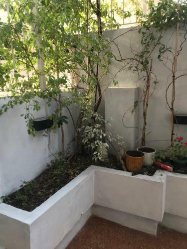 Apartamento Cabildo Y Juramento Con Parrilla