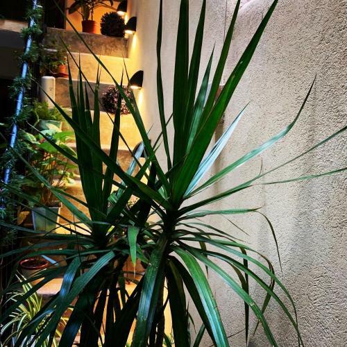 Apartamento Departamento Per�n