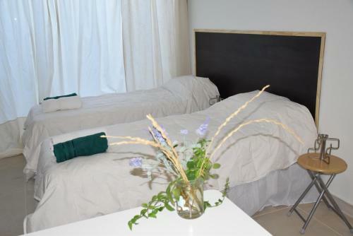Apartamento Cactus
