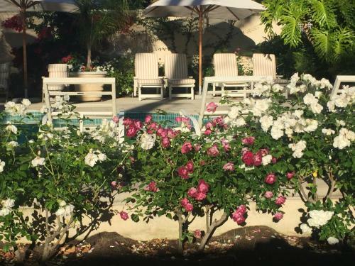 Constantia Valley Lodge