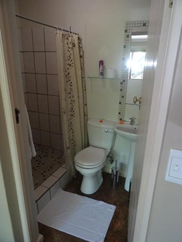 Hostal Park House Lodge
