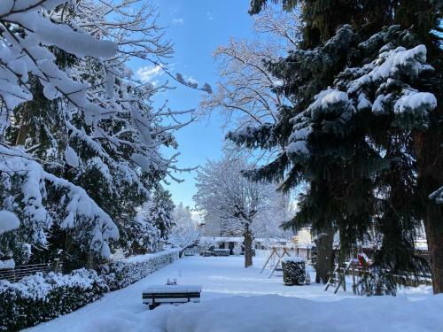 Hostal Pension Wienerstub'n