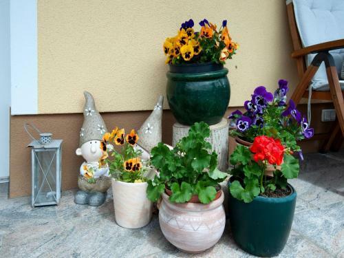 Wonderful Apartment In Brixen Im Thale With Sauna