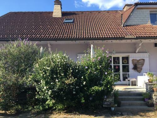 Bed & Breakfast Villa Carla