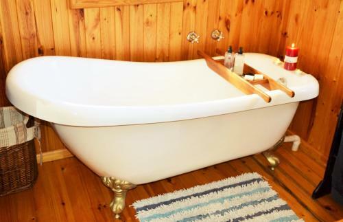 Hostal Forest Edge - Nature Lovers' Retreat