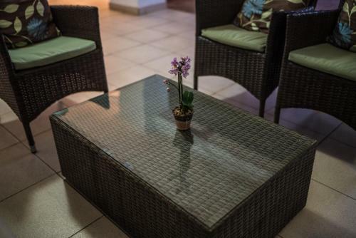 Hostal Adelante Lodge