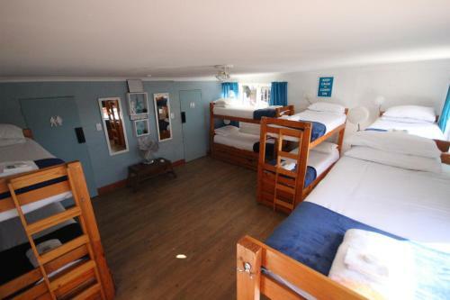 Saltycrax Backpackers And Surf Hostel