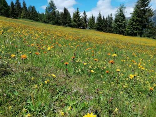 Apartamento Fanningerwirt