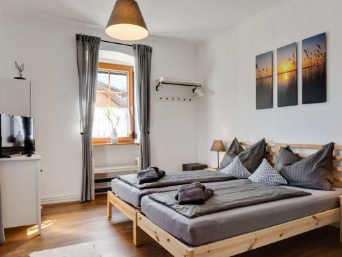 Vanek Apartment