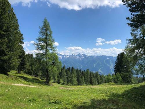 Hostal Amadehaus