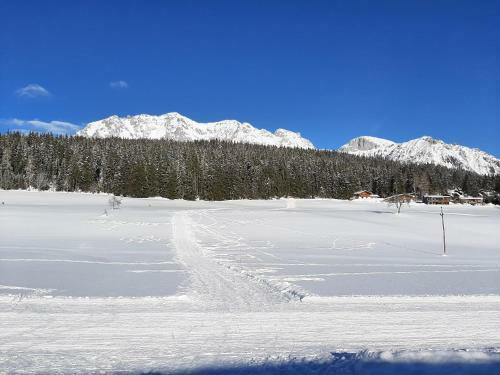 Apartamento Appartement Felix By Schladmingurlaub
