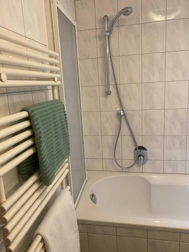 Apartamento Alpina Appartement
