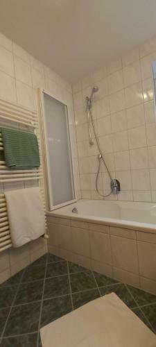 Apartamento Alpina Appartement