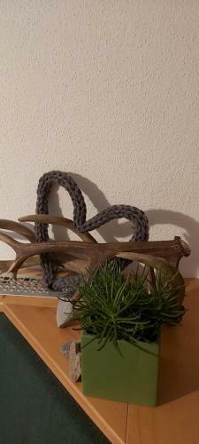 Apartamento Alpina Appartement