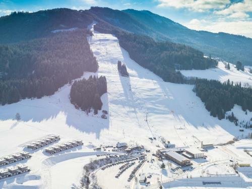 Ski In - Ski Out St Lambrecht