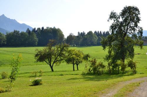 Agroturismo Lodge Wolfgangthal - Fischergut