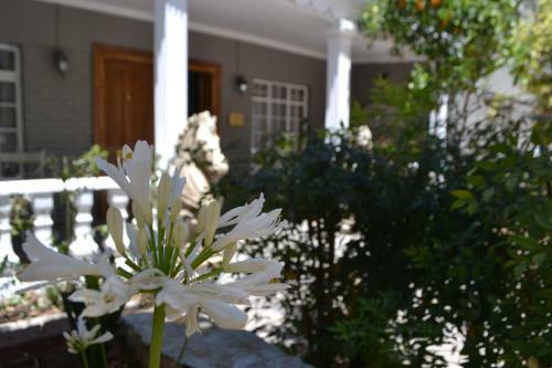 Hobbit Boutique Hotel