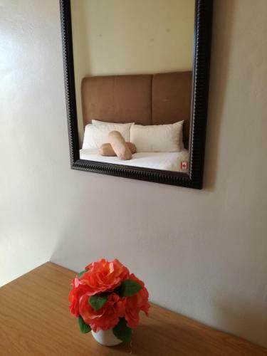 Hostal 7 On Kloof Guesthouse