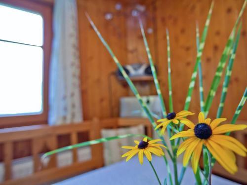 Apartamento Maier