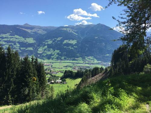 Wildauhof Alm