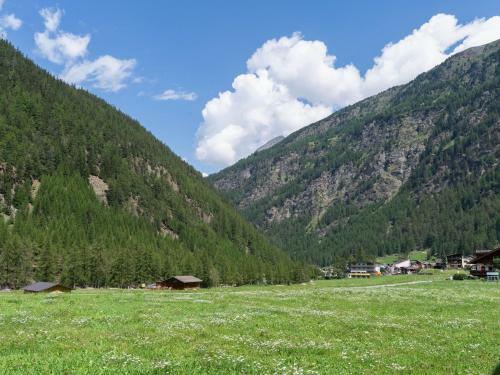 Contemporary Holiday Home In Zwieselstein With Jacuzzi